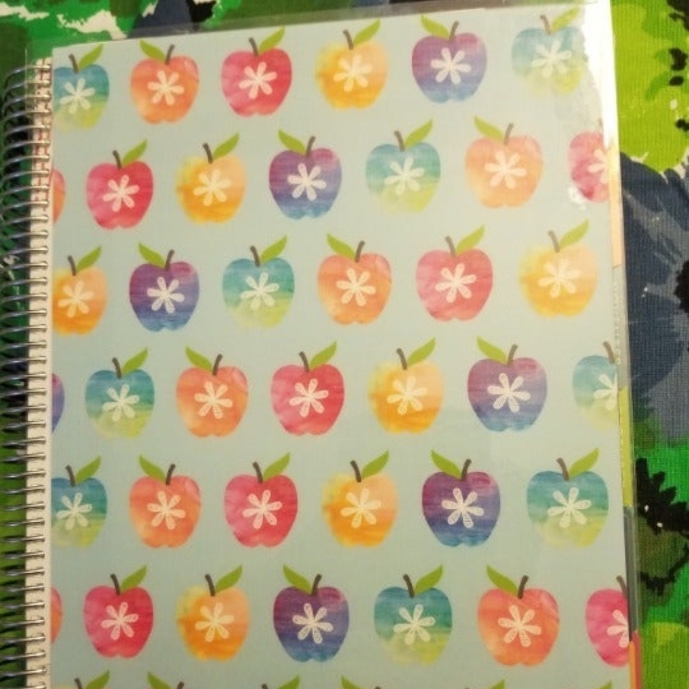 Erin Condren Teacher Lesson Planner